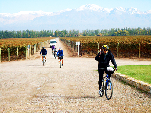 Mendoza bike