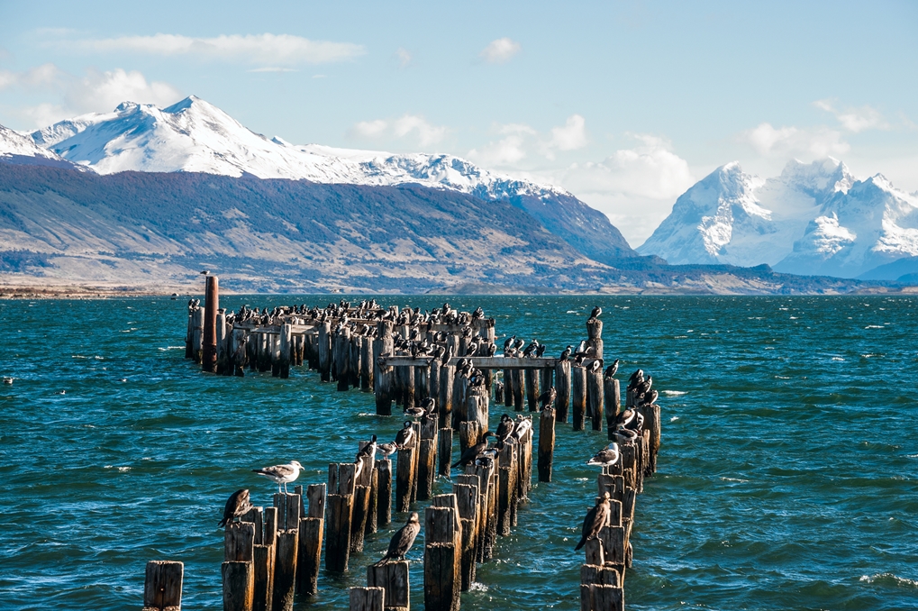 Puerto Natales