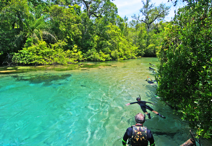 asul-brasil-pantanalbonito-bonito-730-504-4