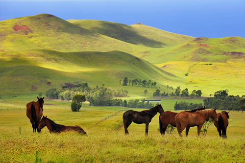 travessia-fotografica-chile-500-3