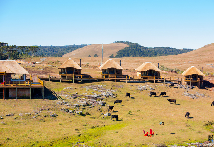 asul-brasil-campo-parador-730-504