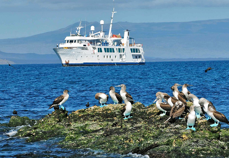 asul-equador-galapagos-isabella-730-504