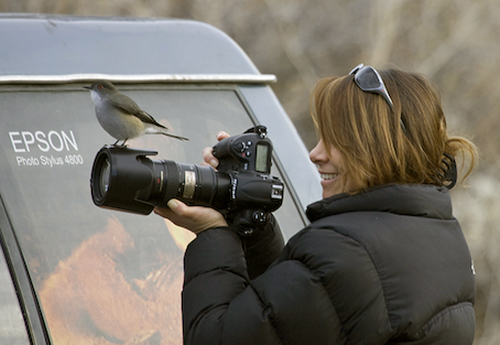 tierra-patagonia-pia-vergara-fotografia (1)