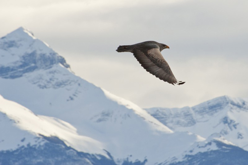 tierra-patagonia-pia-vergara-fotografia (11)