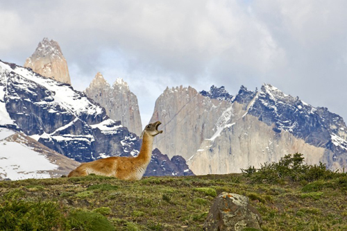 tierra-patagonia-pia-vergara-fotografia (4)