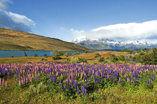 tierra-patagonia-pia-vergara-fotografia (6)