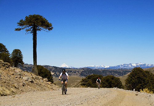 lagos-chile-bike-500