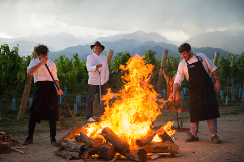 argentina-mendoza-thevines-500-3