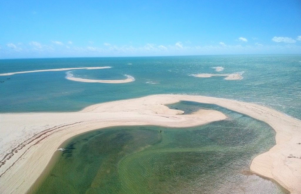 cajueiro da praia