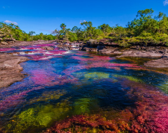 Caño Cristales