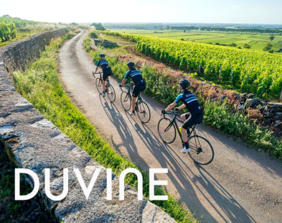 BLOG - DuVine