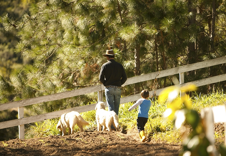 Refúgios de Campo