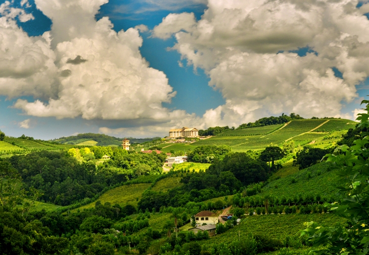 Vale dos Vinhedos